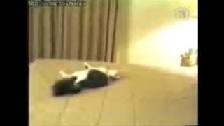 Котик милашка (Аллах акбар) // Смотреть приколы Котик милашка (Аллах акбар) // Смотреть приколы