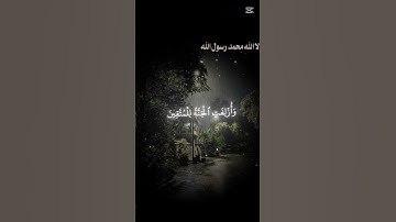 تلاوه تخشع لها القلوب