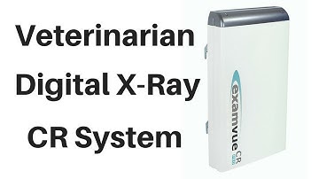 Veterinary Digital X-Ray - CR System