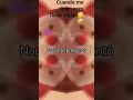 nadie te preguntó