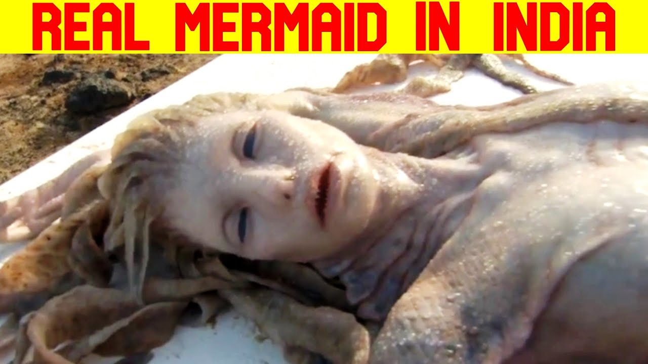 3 Real Life Mermaid in India and World - YouTube