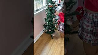 decorate my tree w/ me! qotd: do u have a Xmas tree in ur room? #christmas#xmas#decorating#vlogmas