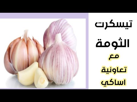 مع عبدالله اد مسعود رئيس تعاونية اساكي للثومة