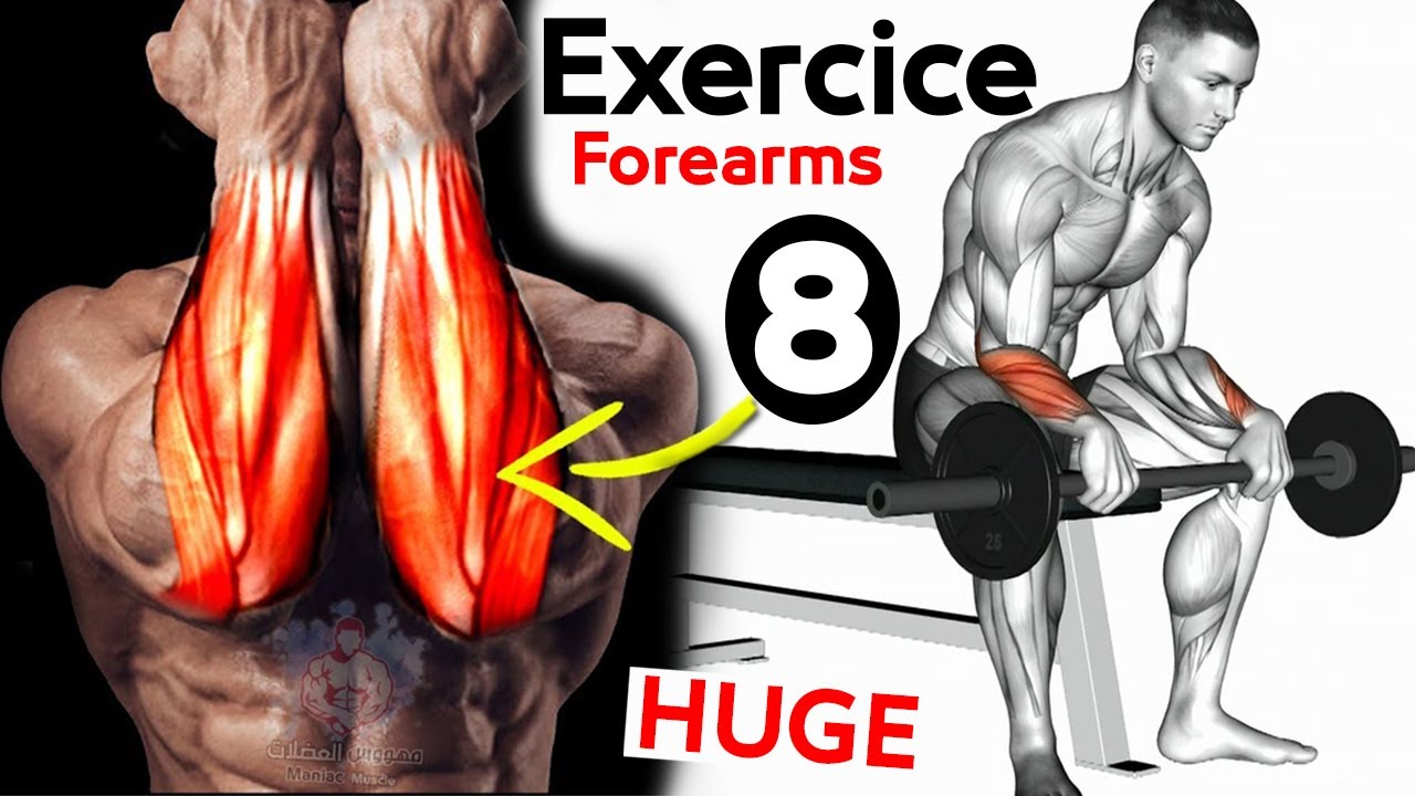 5 BEST EXERCICES FOREARMS ( DUMBELLS ONLY ) / musculation avant