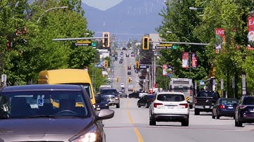 Urban Reforestation - The Benefits of Trees