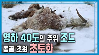 몽골의 끔찍한 겨울, 조드의 공포 (KBS_345회_2024.2.24.방송)