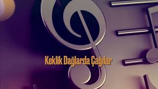 Keklik Dağlarda Çağılar - Göksel Saraç Resimi