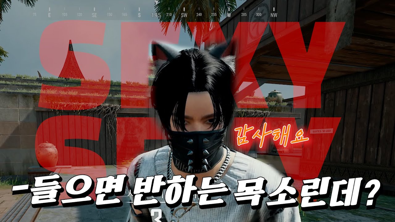 목소리 좋은 분과 랜덤듀오 했습니다 | 예능 배그|