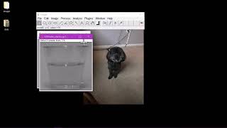 ImageJ tutorial for extracting RGB values from images screenshot 1