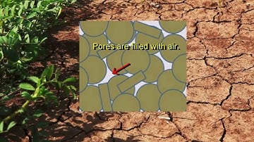 Bulk Density May 2016