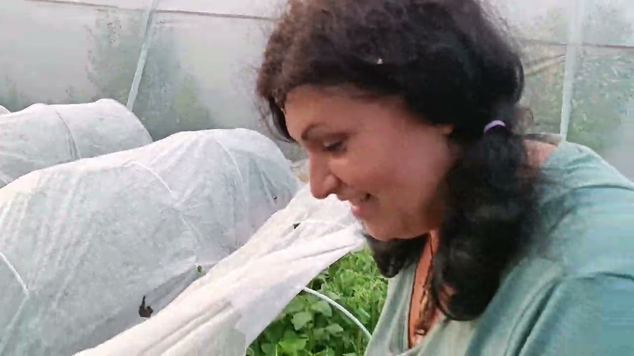 Градината на Деси Владовска.