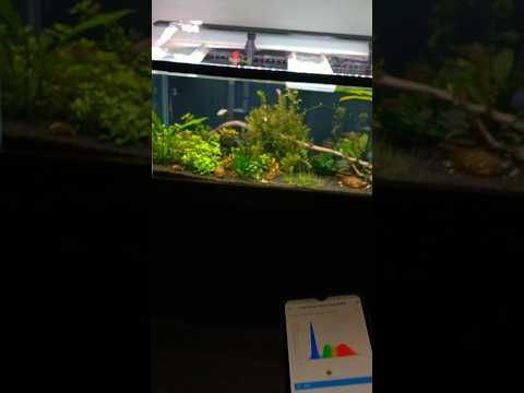 Iluminação Com Qualidade - Nour Fresh Water da OceanTech