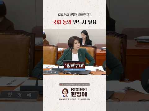 정부가 검토 중인 '호르무즈 파병', 국회 동의 필수! | 한정애TV #shorts
