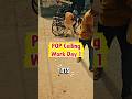 Building Pansy Emporium | POP Ceiling Work Day 1 Begins | Women's Ethnic Wear Showroom, Gurugram