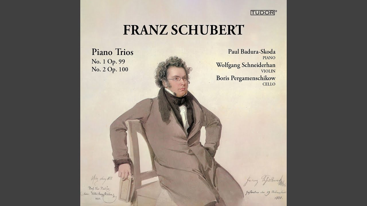 Watch Piano Trio No. 1 in B-Flat Major, Op. 99, D. 898: II. Andante un poco mosso on YouTube