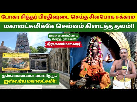 போகர் சித்தர் பிரதிஷ்டை செய்த சிவபோக சக்கரம் Ishwarya Mahalakshmi Temple திருக்காமேஸ்வரர் வெள்ளூர்