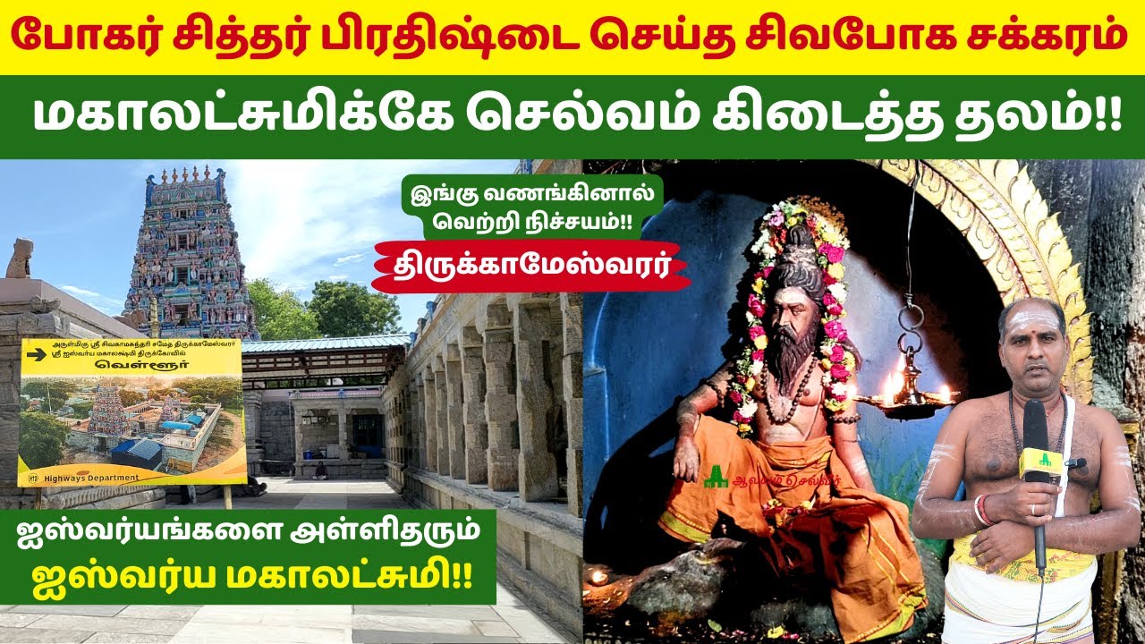 போகர் சித்தர் பிரதிஷ்டை செய்த சிவபோக சக்கரம் Ishwarya Mahalakshmi Temple திருக்காமேஸ்வரர் வெள்ளூர்