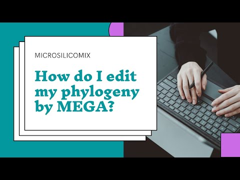 How Can I Edit my Phylogenetic Tree by MEGA Software?