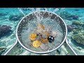 Beach Cleanup Turns Into Treasure Hunt!