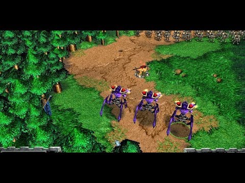 Warcraft 3 Versus 3 Gladiators Vs 120 Gnoll Poachers Full Upgrades 