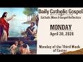 Today's Catholic Mass &amp; Gospel Reflection - Monday, April 20, 2026