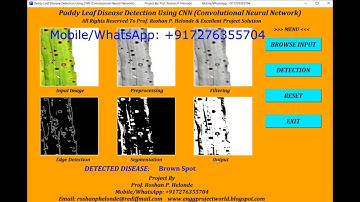 Paddy Leaf Disease Detection Using CNN Convolutional Neural Network Python Project With Source Code
