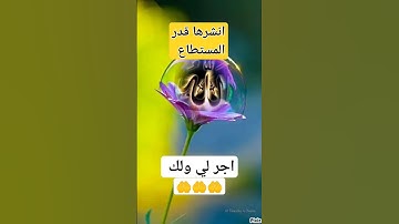 سورة يوسف #راحة نفسية #ارح قلبك وعقلك #جميع الدول العربية #❤️❤️❤️❤️❤️❤️❤️