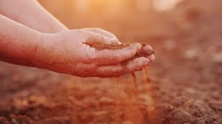Farmer Hands with Black Soil, Organic Farming Concept | Stock Footage - Videohive