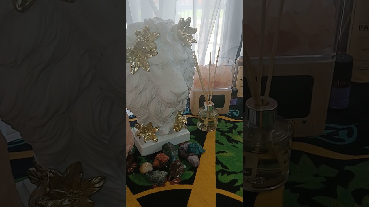 Их связи и связи на одну ночь не были случайными. ИМ ПЛАТИЛИ!! Но это ещё не всё, НОВЫЙ ПОВОРОТ С...