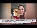 Venezolanos en NY organizan envío de ayuda humanitaria tras terremotos: Esto es lo que puedes donar