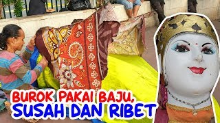 TERNYATA Begini cara BUROK Pakai Baju