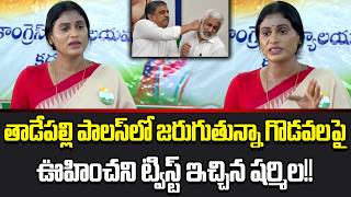Y. S Sharmila Shocking Comments On Sajjala Ramakrishna and Vijay Sai Krishna | Cine Public TV
