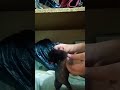 lo borraré mañana