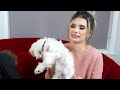 Testing Out WEIRD Dog Products with NEW TEACUP PUPPY! *So Cute*
