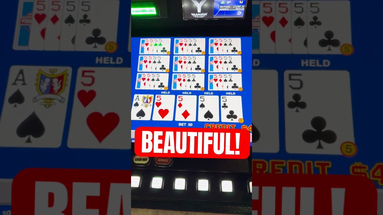 nhà cái nohu52 $250 per hand... Huge Win! casino poker blackjack