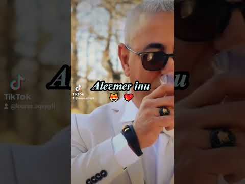 Mourad Guerbas Taseda Inu Parole Et Lyrics 