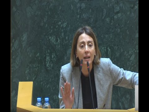 არავითარი მორალური, არანაირი ზნეობრივი, შინაგანი ღირსება თქვენ არ გაგაჩნიათ -  დეკანოიძე „ოცნებას“