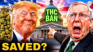 MASSIVE FEDERAL UPDATE!... CONGRESS to BLOCK the THC BAN!... Seeds and Hemp SAVED! 😱