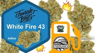 WIFI 43 STRAIN REVIEW