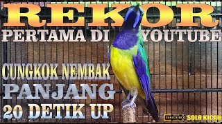 PERTAMA DI YOUTUBE. VIRAL. REKOR.. CUNGKOK NEMBAK PANJANG 20 DETIK up