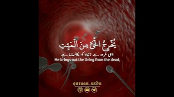 سورة الروم: ١٨،١٩ || عبدالرحمن مسعد || Surah Ar Room:18,19 || Abdur Rehman Mosad