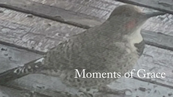 Moments of Grace with Flicker