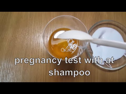 pregnancy test with shampoo ✔️ You not believe it is accuracy is over 90% YouTube