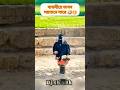 dj antu 🎧 Djayon 🎧 djakter 🎧djalomgir🎵 dj jihad 🎧 Dj manik 🎵 dj 🎧dj pongkoj Roy 🎧 dj srkmix 🎧 #dj#dj