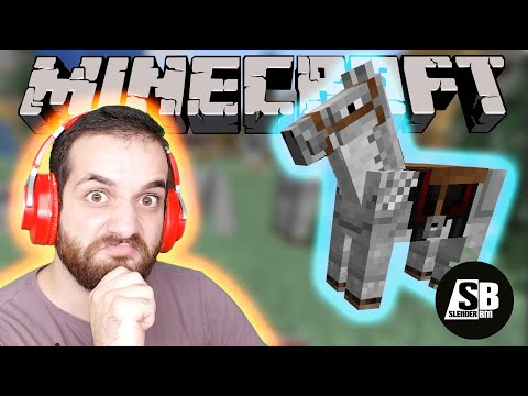 Minecraft #13- მეღირსება ცხენზე უნაგირი???