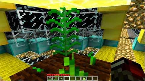 Better than Wolves Lab - Hemp