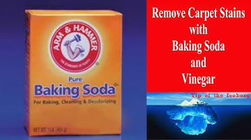 Carpet Stain Removal with Baking Soda and Vinegar - Watch That Stain Vanish Before Your Eyes