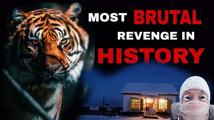 Cabin के चारों ओर उसके टुकड़े बिखरे पड़े थे | Tiger BRUTALLY Revenged a Russian Hunt€r
