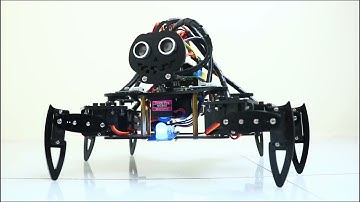 Spider Robot with Arduino