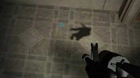 Another Funny Swat4 Bug